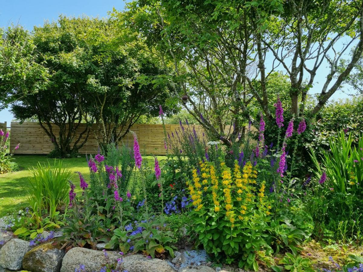 Hallegan Annexe With Private Garden And Woodland Camborne Exteriér fotografie